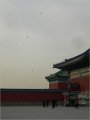 Beijing  (322)